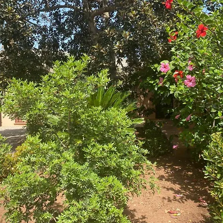 Can Vilanova Villa